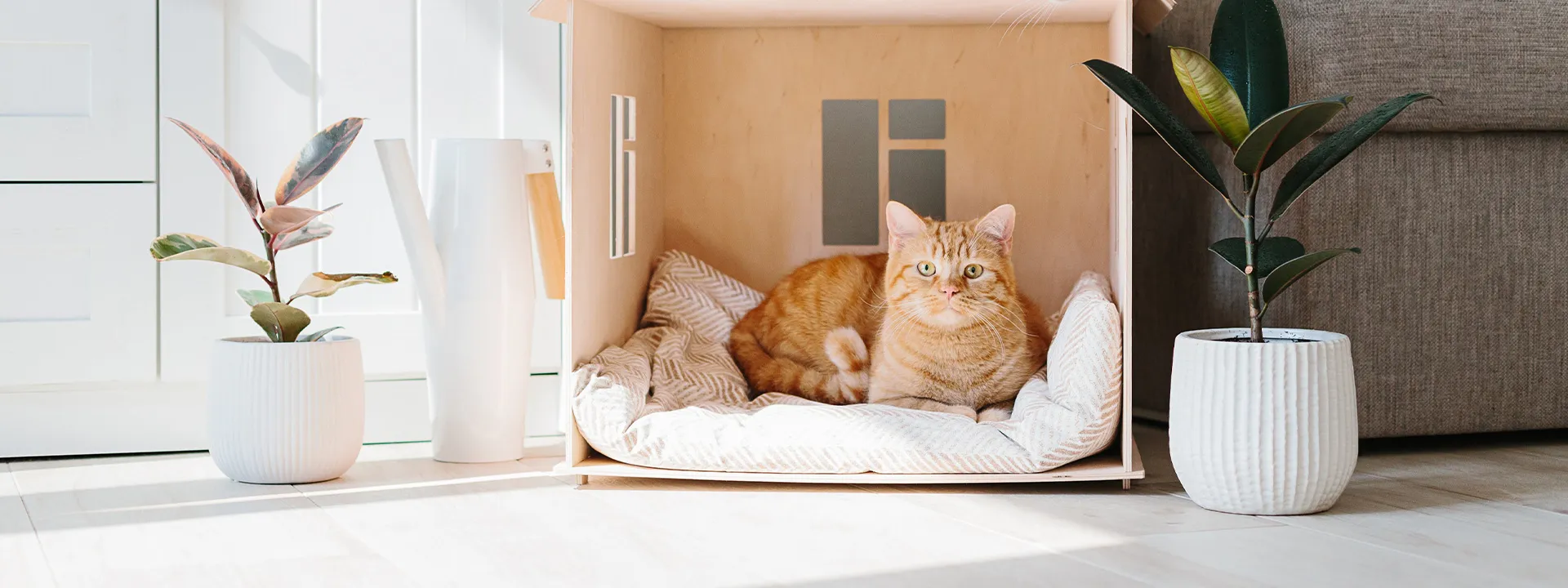 オーダー家具 Dante